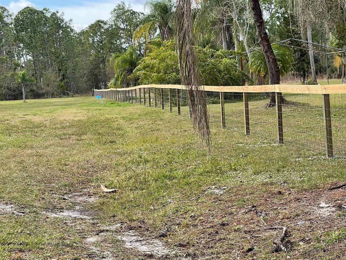 Land Clearing for Nick of Time Tree Service in North Port, FL