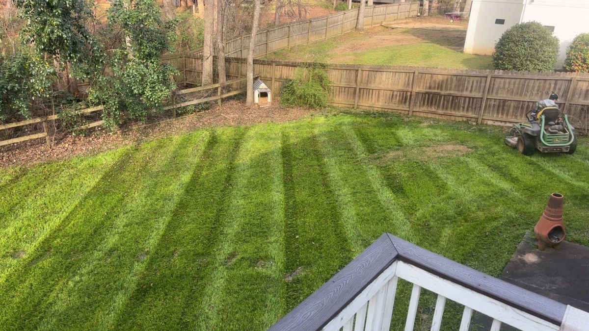 Lawn Maintenance for Palmetto State Landscaping in Gaffney, SC