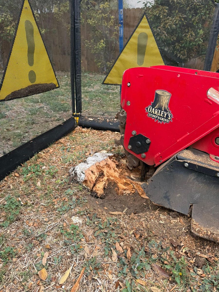 Tree Stump Grinding for Oakley’s Stump ‘N Grind in Leander, TX
