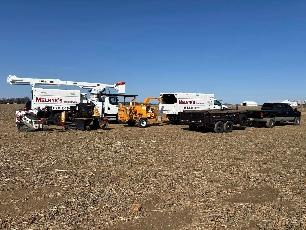 Stump Removal for Melnyk’s Tree Service in Salem County, NJ