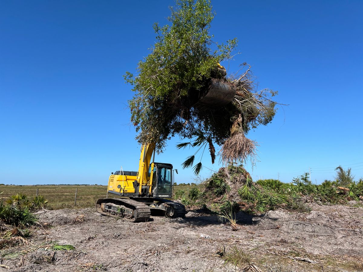 Land Clearing for C & S Grading in Saint Cloud, FL