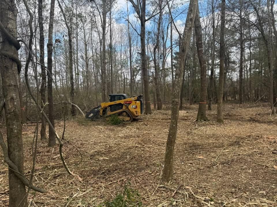 Forestry Mulching for DC Construction Company LLC in Clanton, AL