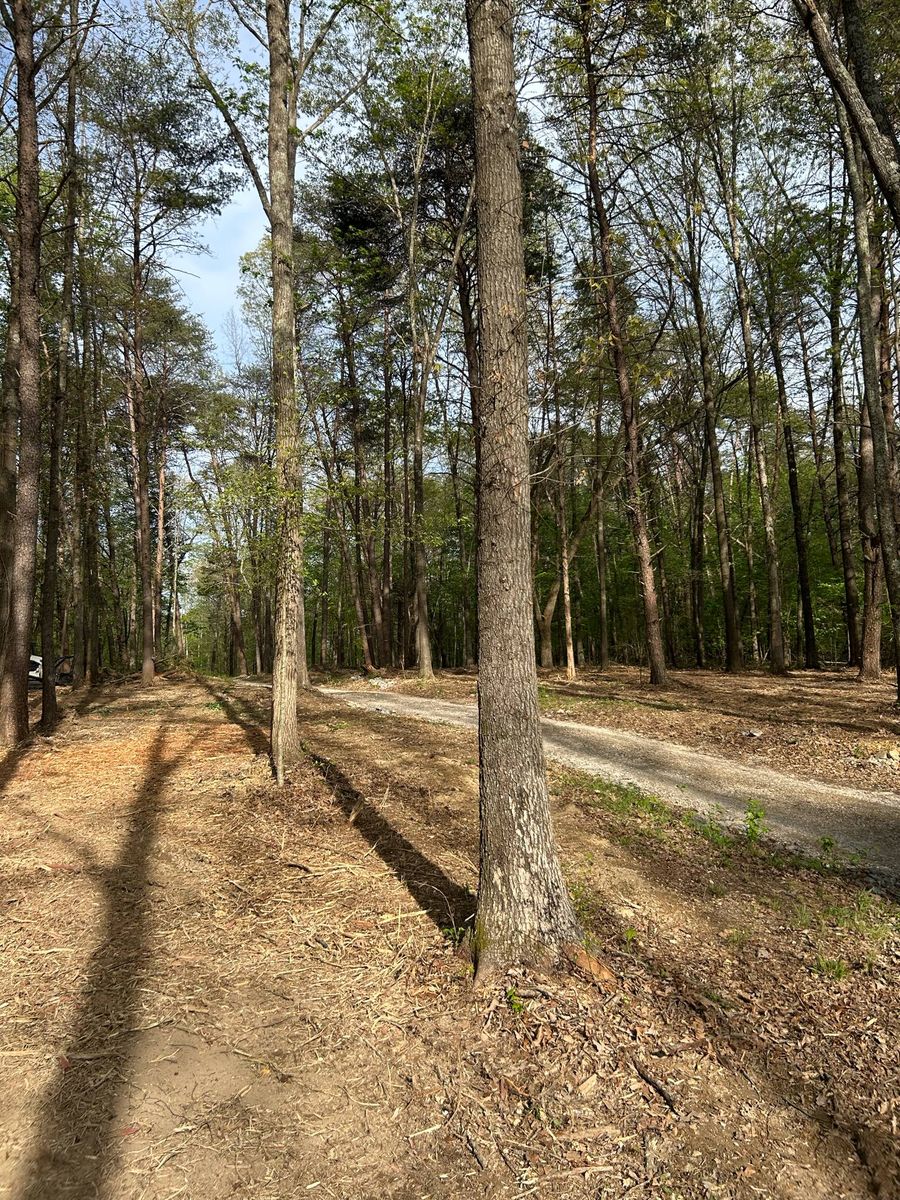 Land Clearing for Z's Land Management & Forestry Mulching in Smithville, TN