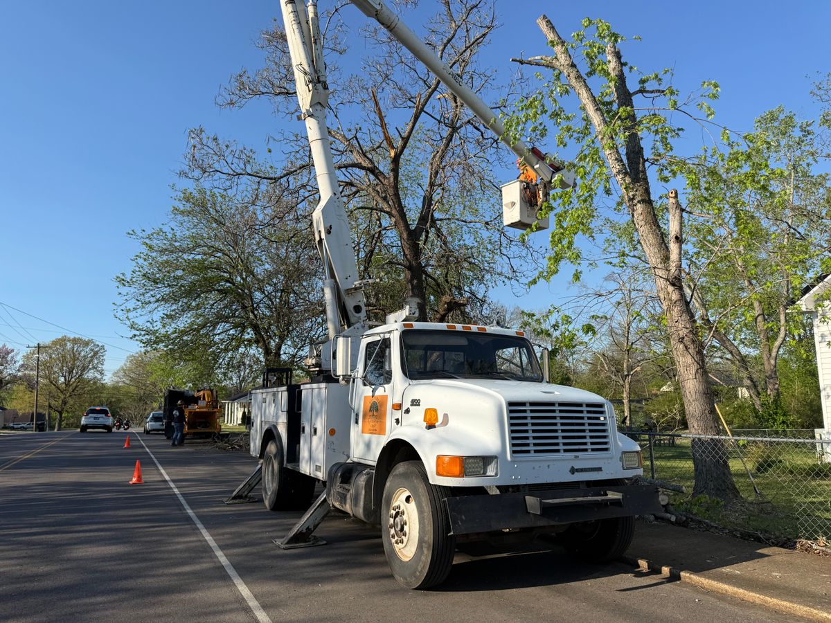 Tree Trimming for Ross Family Tree Service LLC  in Hohenwald, TN