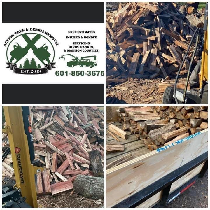 Tree Debris Removal for Action Tree & Debris Removal in Jackson,  MS