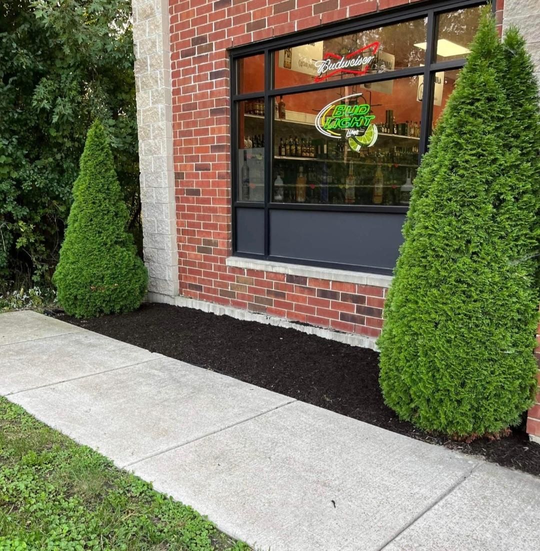 Shrub Trimming for Reliable Property Maintenance in Highland, IN