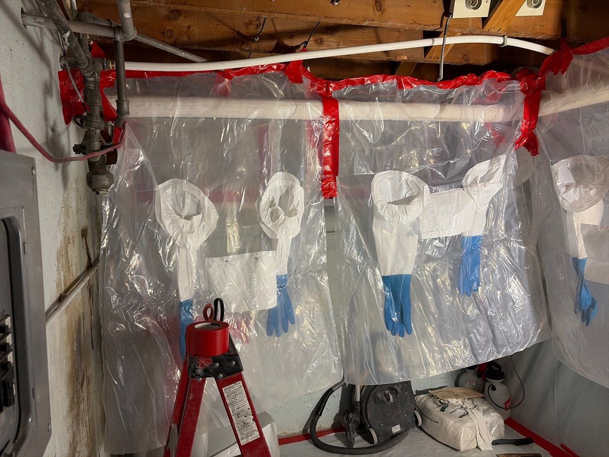 Mold Remediation for ACM Environmental in Salt Lake City, UT