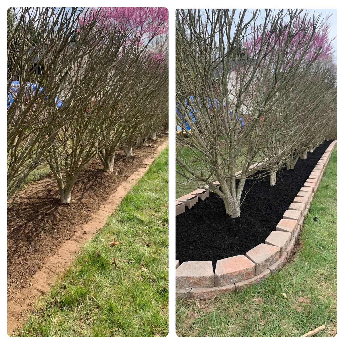 Hardscapes for Branch Out Tree Care LLC in Fredericksburg, VA