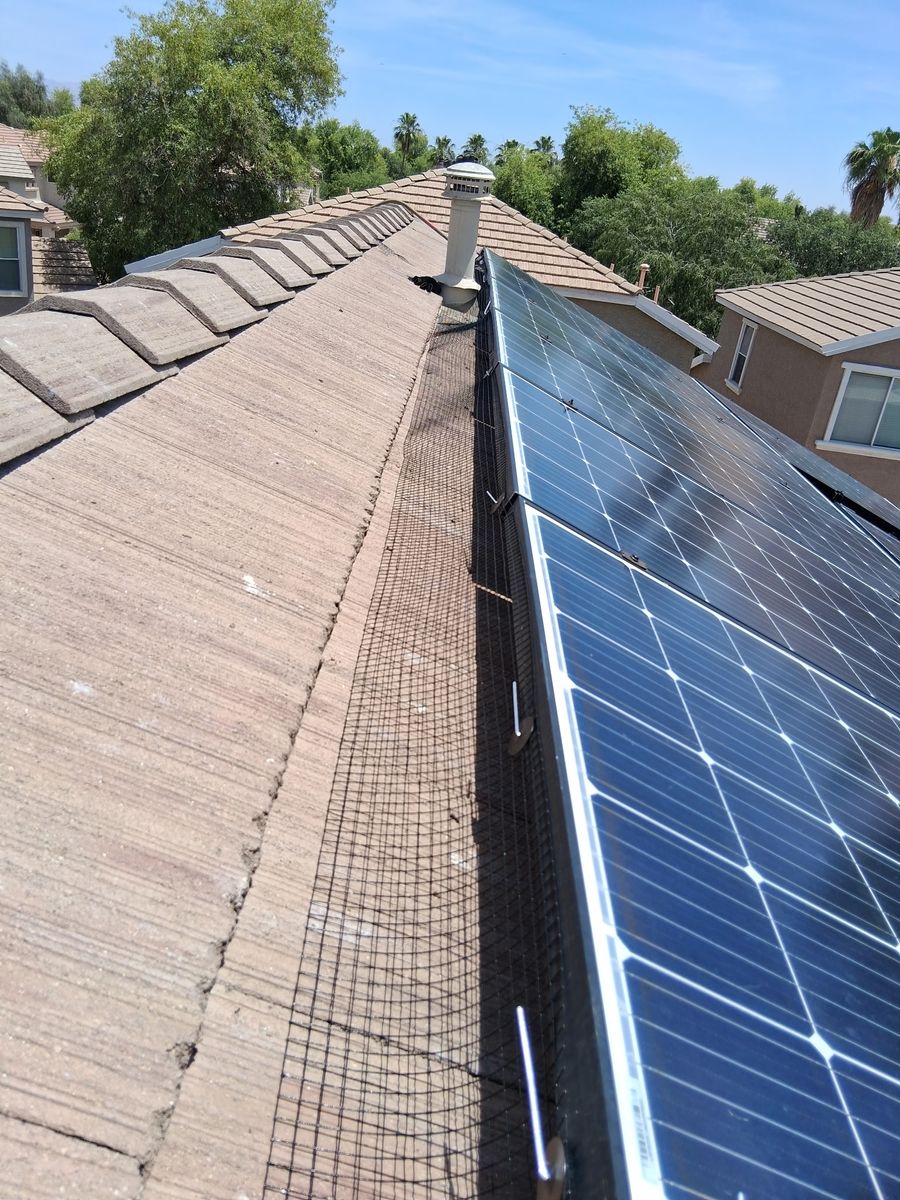 Bird Proofing for Olson & Sons Contracting in Mesa, AZ
