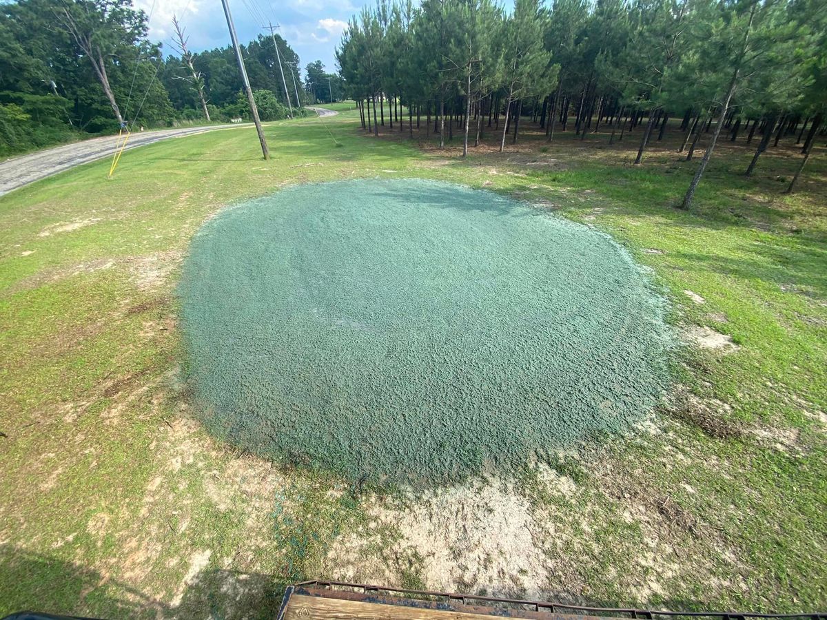 Hydroseeding for Holland Hydroseeding LLC in Columbia, MS