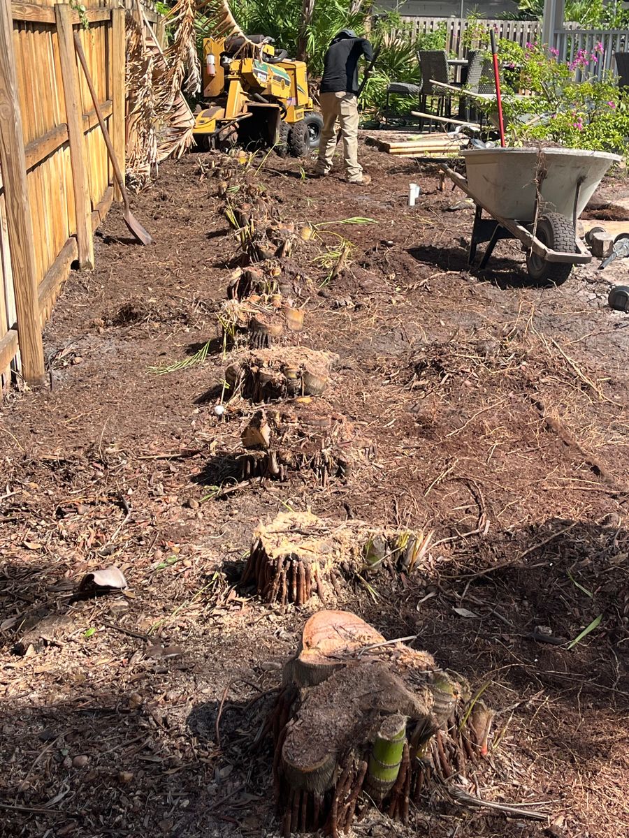Stump Removal for Busy Beaver Stump Removal, Inc in Clearwater, FL