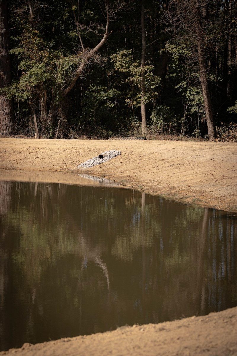 Excavation for Collins Constructors in Fyffe, AL