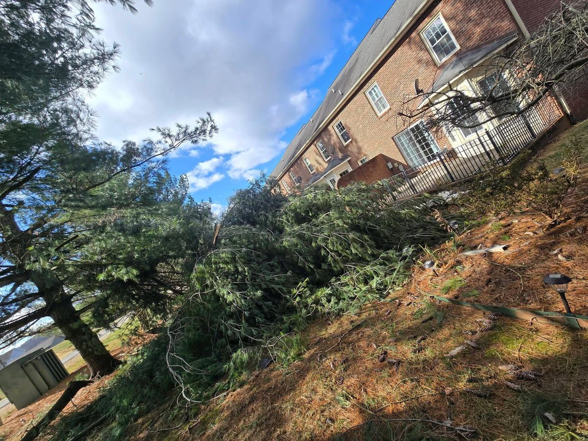 Property clean up for M&L Lumber and Excavating in Jonesborough, TN