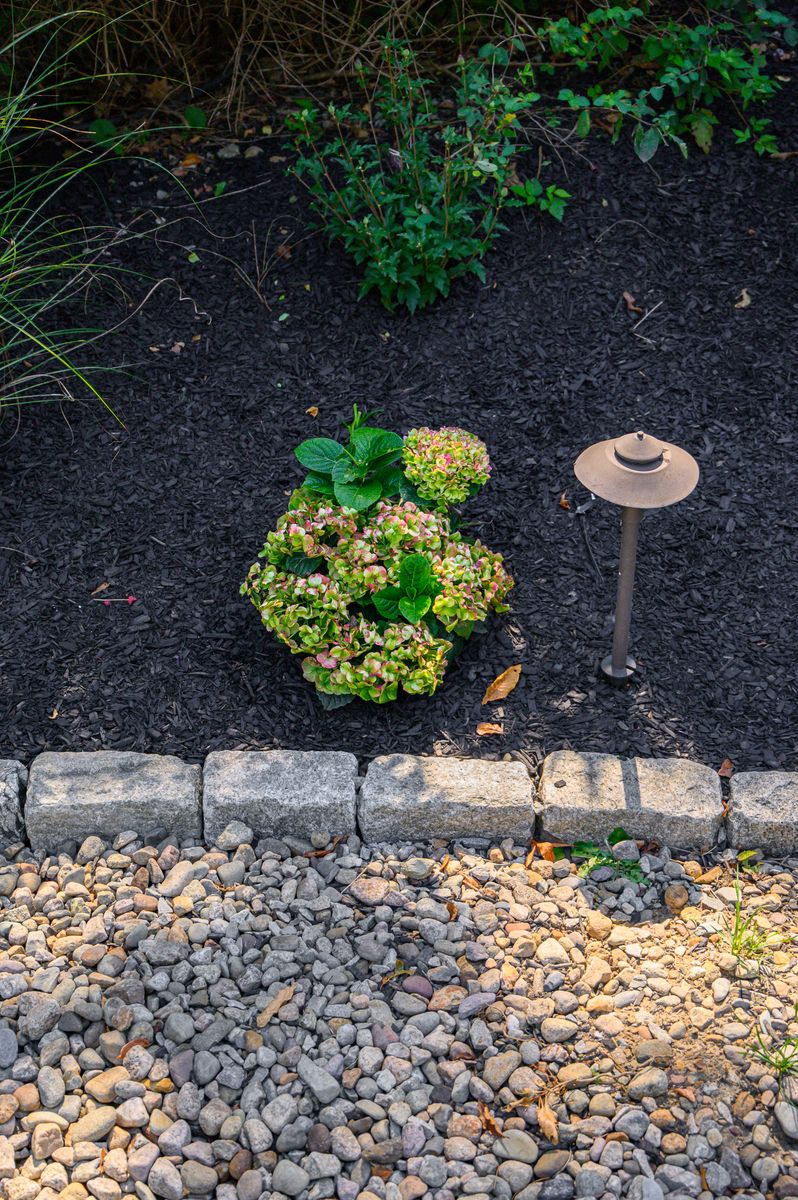 Plantings & Enhancements for Pungitore Landscapes, Irrigation & Fertilizer in Hingham, MA