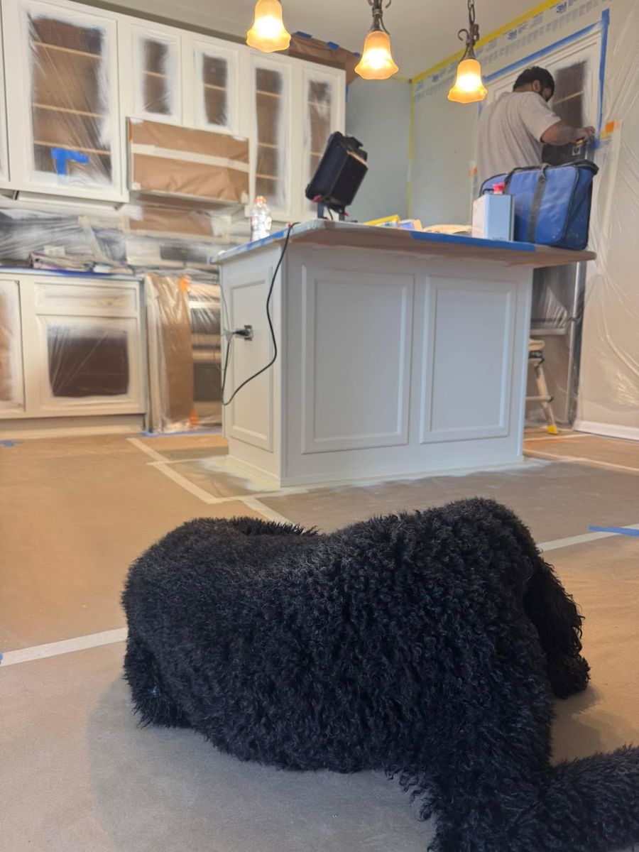 Interior Painting for TL Painting in Joliet, IL