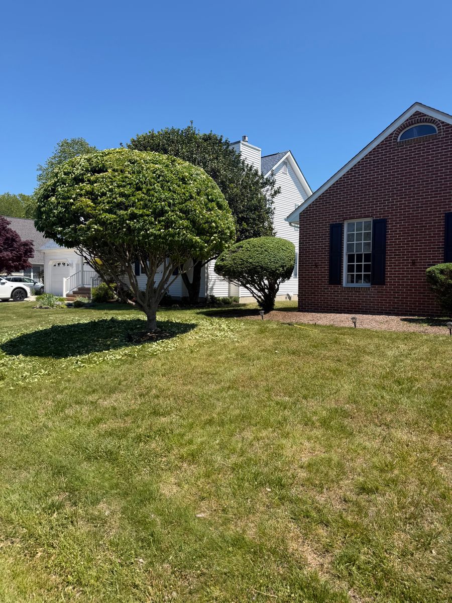 Trimming for Lawn pro services in Georgetown, DE