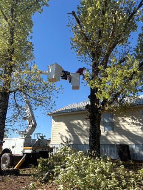 Tree Trimming for H3 Land Management in Centerville, TX