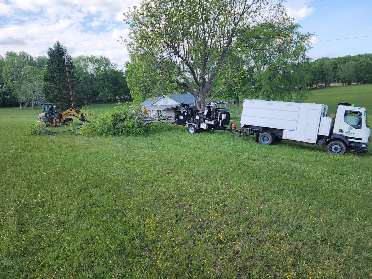 Shrub Trimming for Owens Tree Services in Inman, SC