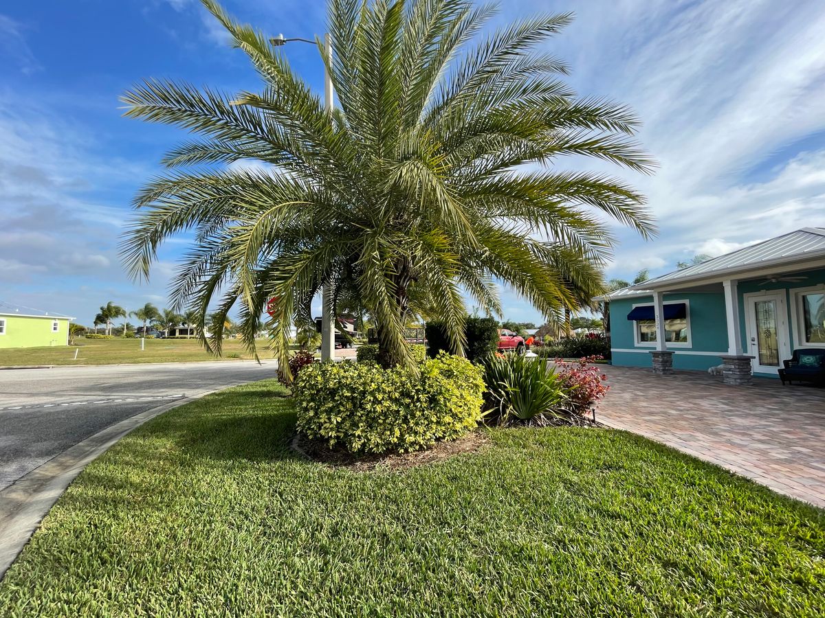 Fall Clean Up for MyerScapes Environmental LLC in Mulberry, FL