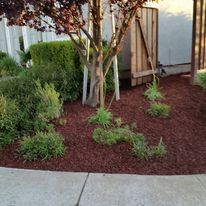 Mulch Installation for Regalado Landscape in Antioch, CA