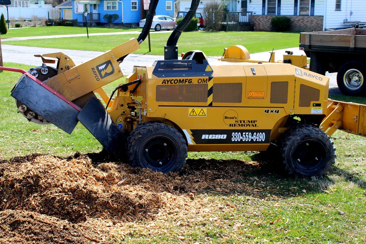 Stump Removal for Dean's Stump Removal in Youngstown, OH