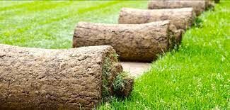 Sodding for Top Gun Lawn Care in Citrus, FL