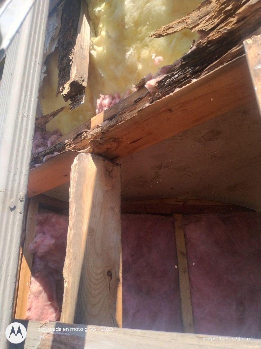 💧 Water Damage Restoration for Propertifix Handyman & Renovation Services in Lancaster, TX