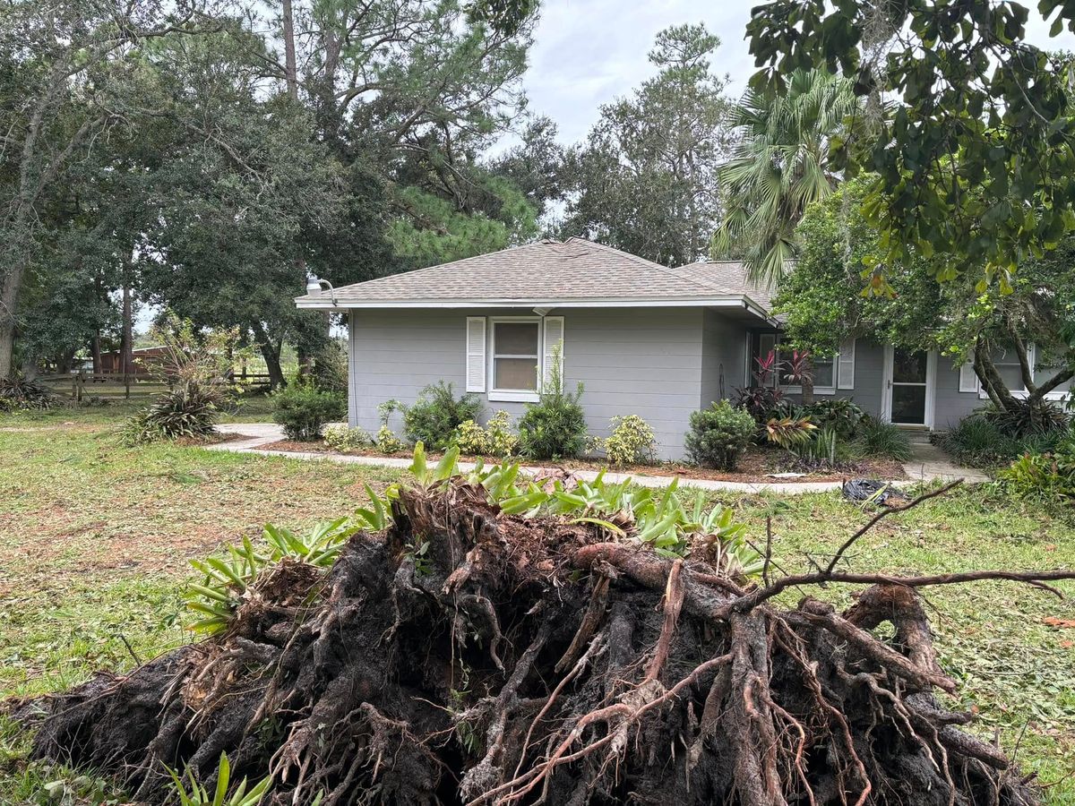 Tree Trimming / Removal for Parker Land Services in Lakeland, FL
