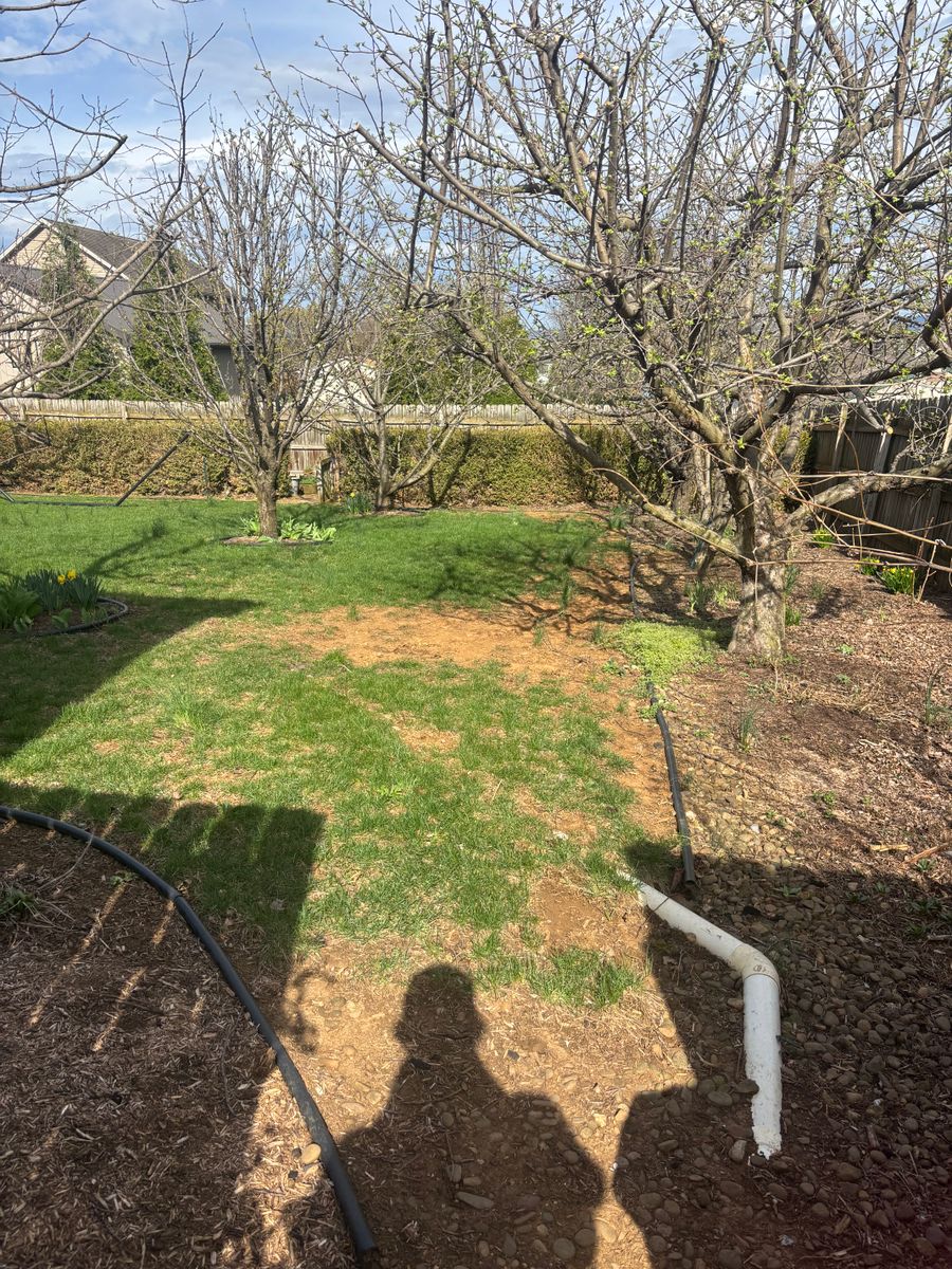 Sod Install for Backyard Acres Lawncare LLC in Chambersburg, PA