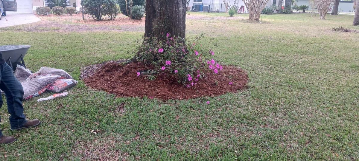 Mulch Installation for O'Donnell Tree and Handyman Services in Pine Ridge, FL
