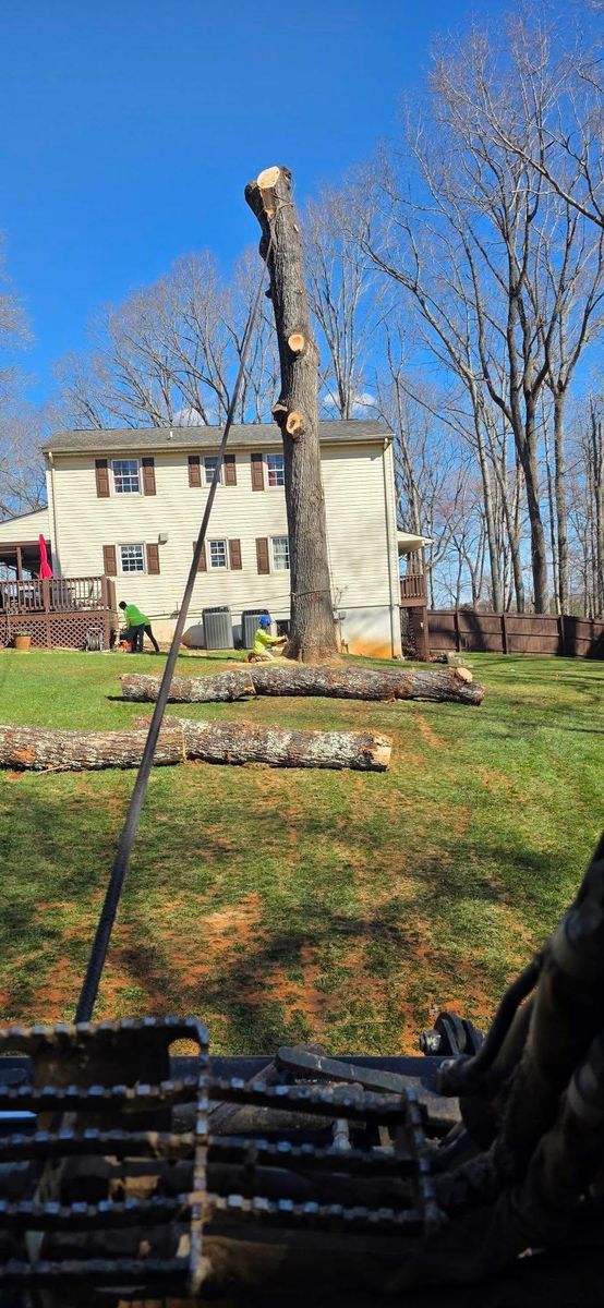 Emergency Tree Services for Hamlett Tree Service LLC in Clover, VA