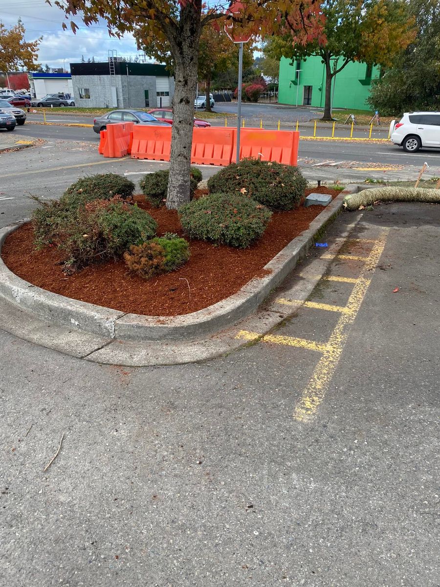 Shrub Trimming for Family Landscaping & Irrigation in Auburn, WA