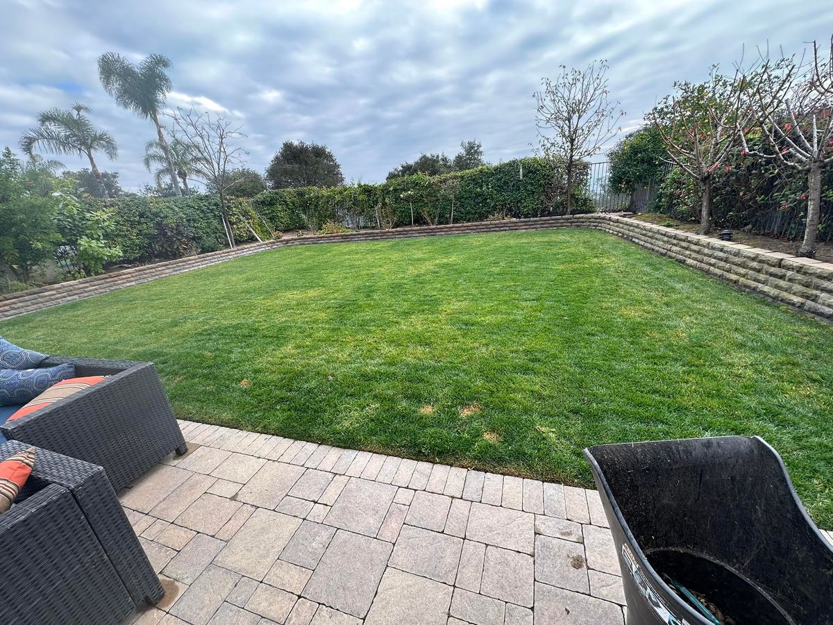 Lawn Maintenance for Benito's Gardening in San Juan Capistrano, CA