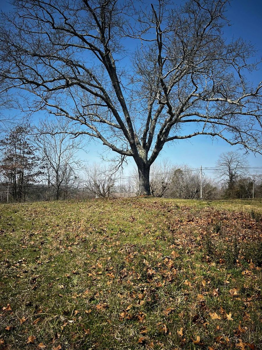 Land Clearing for Premier Outdoors and Land Management in Baxter, TN