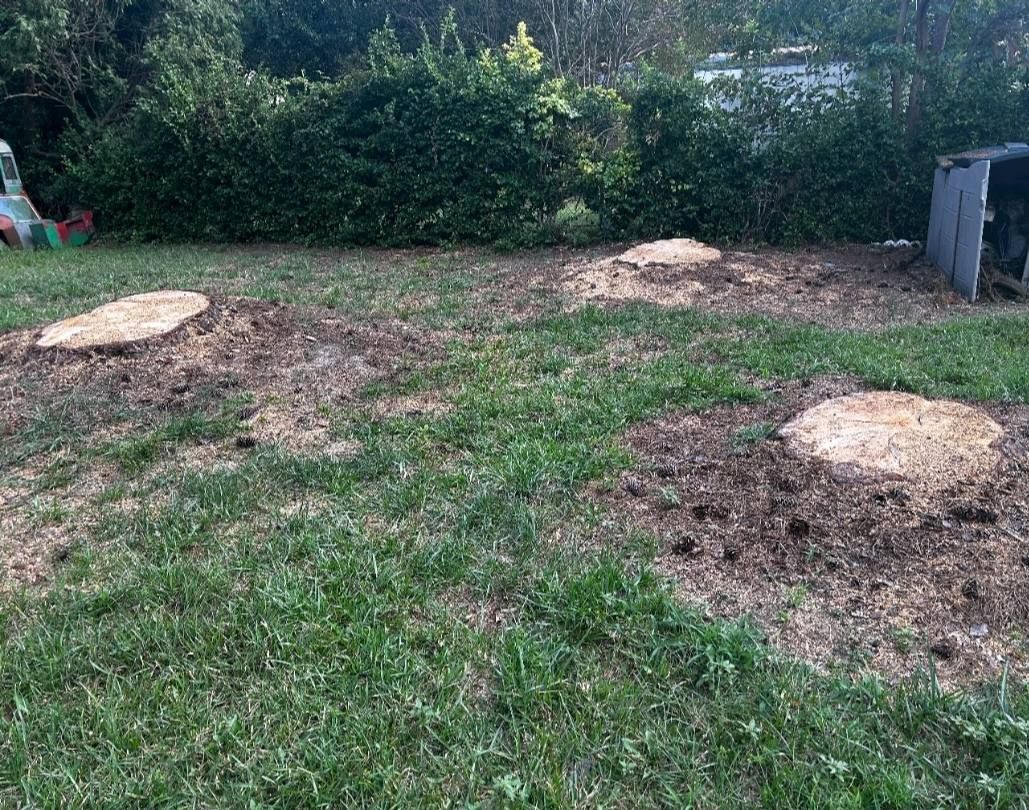 Stump Grinding for Anchor & Grind Stump in Chesapeake, VA