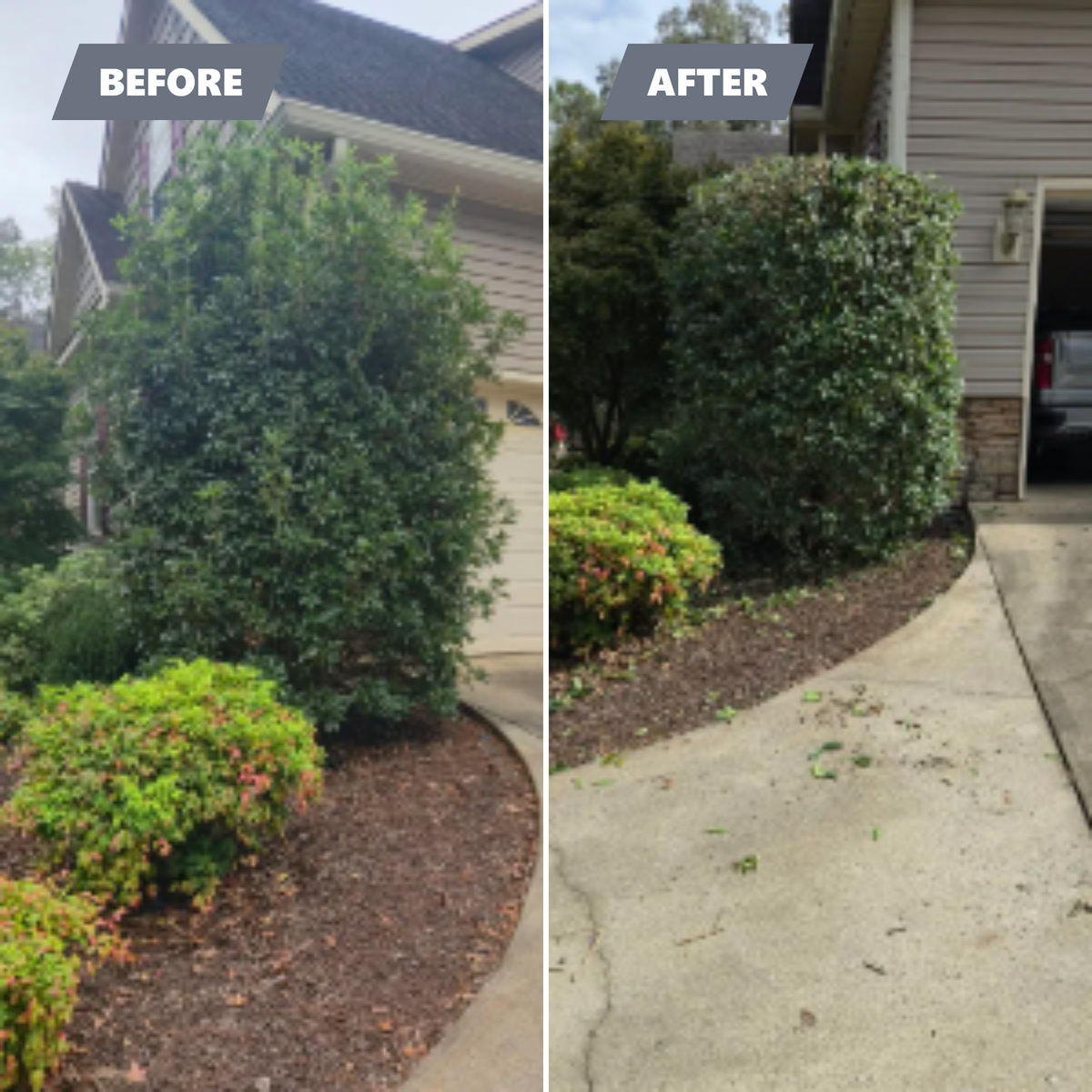 Shrub Trimming for Fresh Cut Yard & Lawn Care LLC in Forsyth, GA
