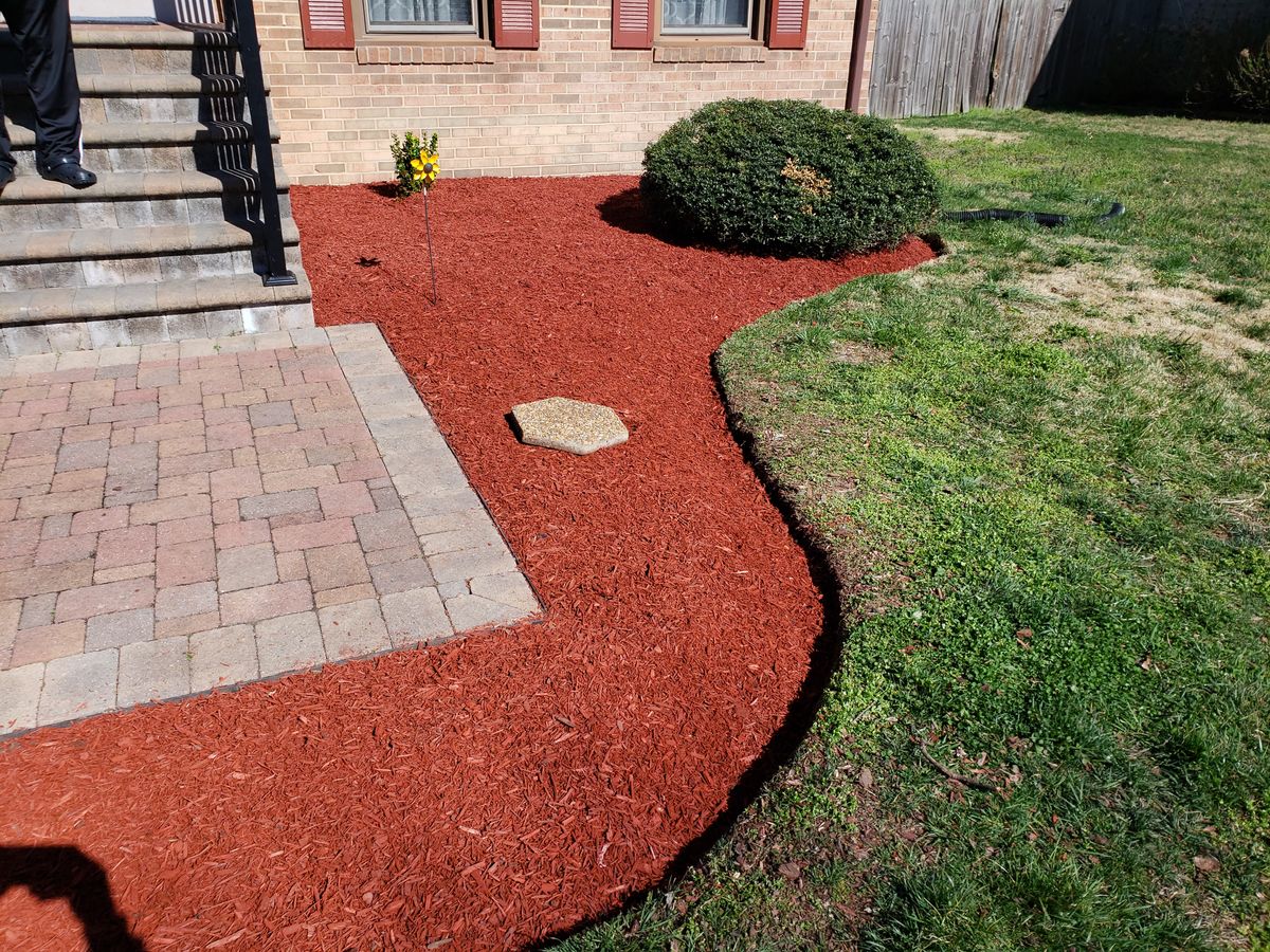 Tree & Shrub Care for Sam I AM Property Solutions in Sunderland, MD