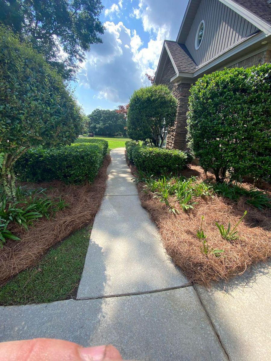 Hedge Trimming for Johnson Lawn Care in Mobile, AL
