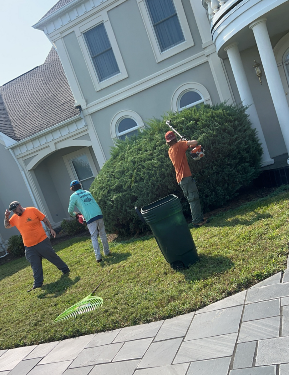Spring / Fall Clean Up for Ridgewood Lawn Care LLC in Fredericksburg, VA
