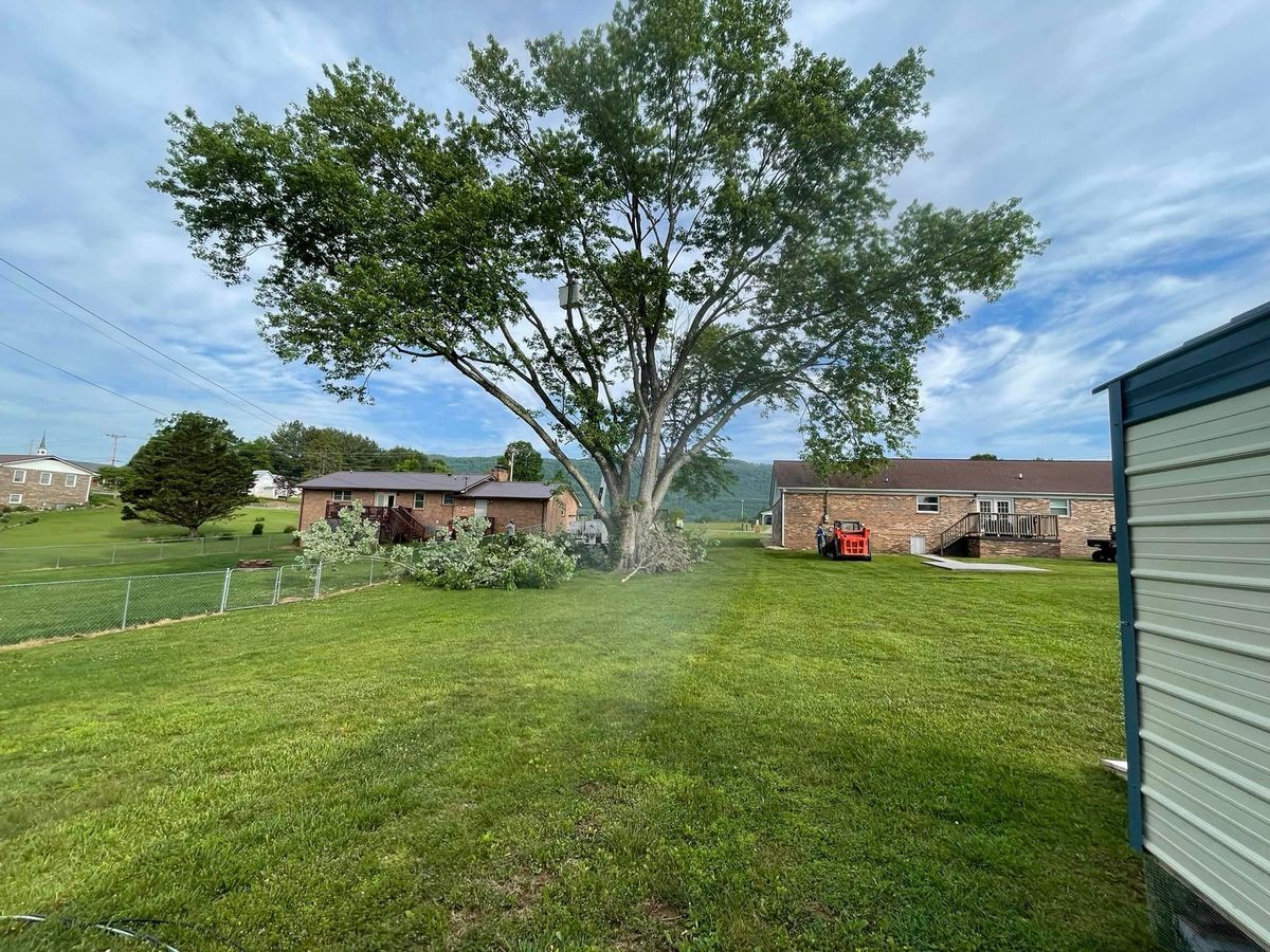 Tree Trimming for Lucky’s Tree Removal and Landscape Services in Knoxville, TN