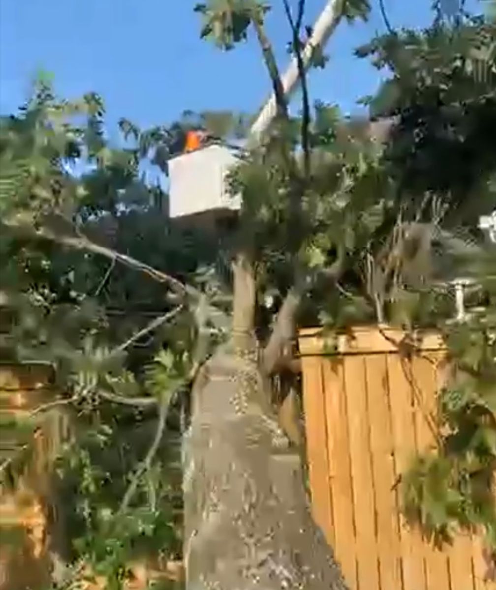 Emergency Storm Services for Action Tree & Debris Removal in Jackson,  MS