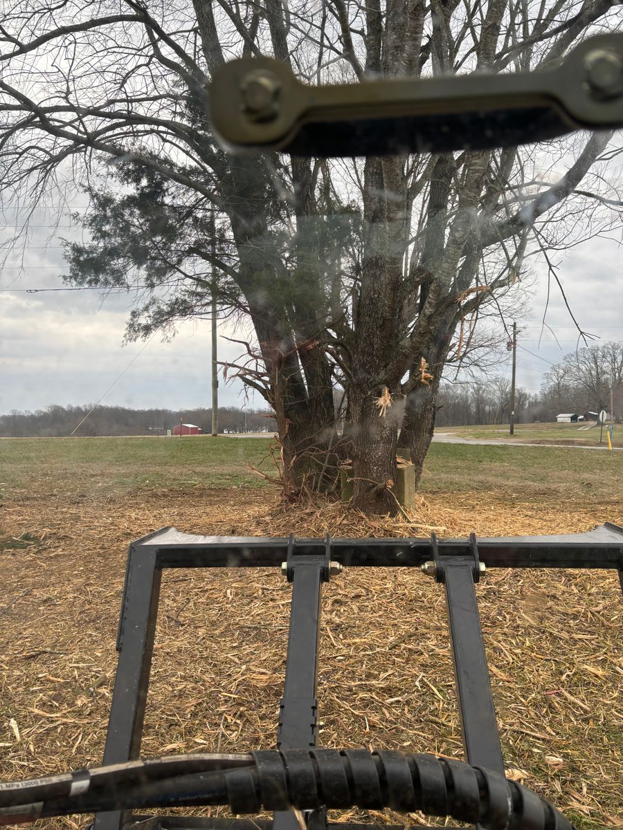 Land Clearing for Gregory Grass and Lawn in Lafayette, TN