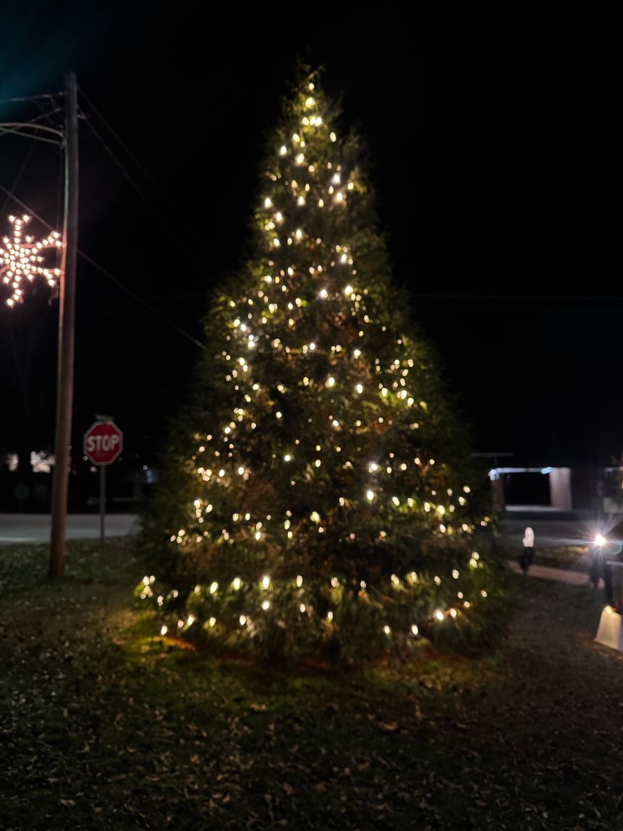 Christmas Lights for FunderFlow Commercial and Residential Pressure Washing Inc in Tupelo, MS