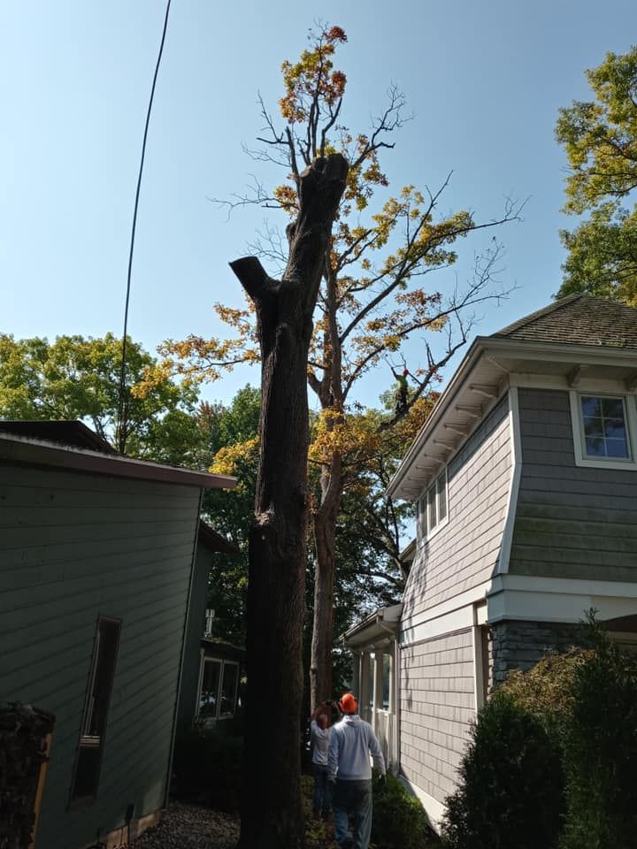 Tree Trimming for General State Property Maintenance in New Haven, IN