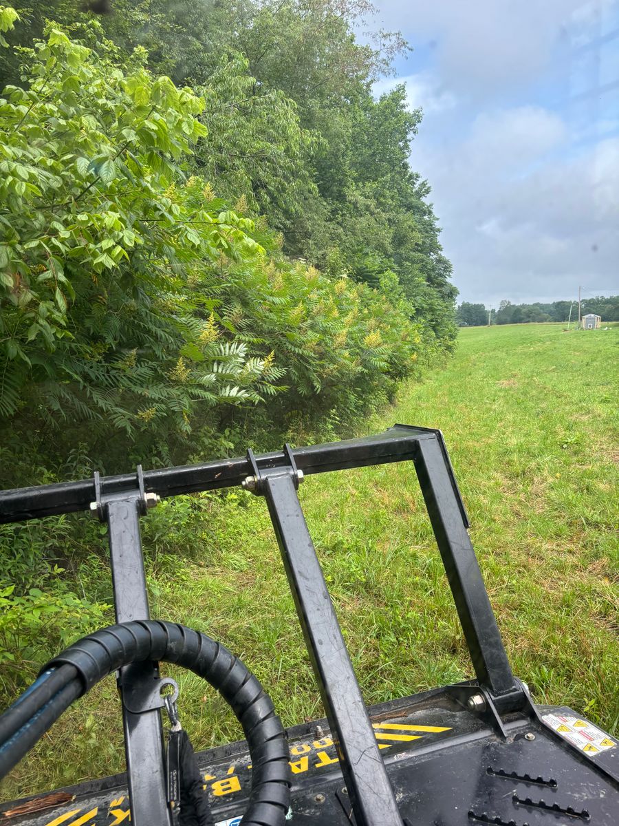 Land Clearing for Gregory Grass and Lawn in Lafayette, TN