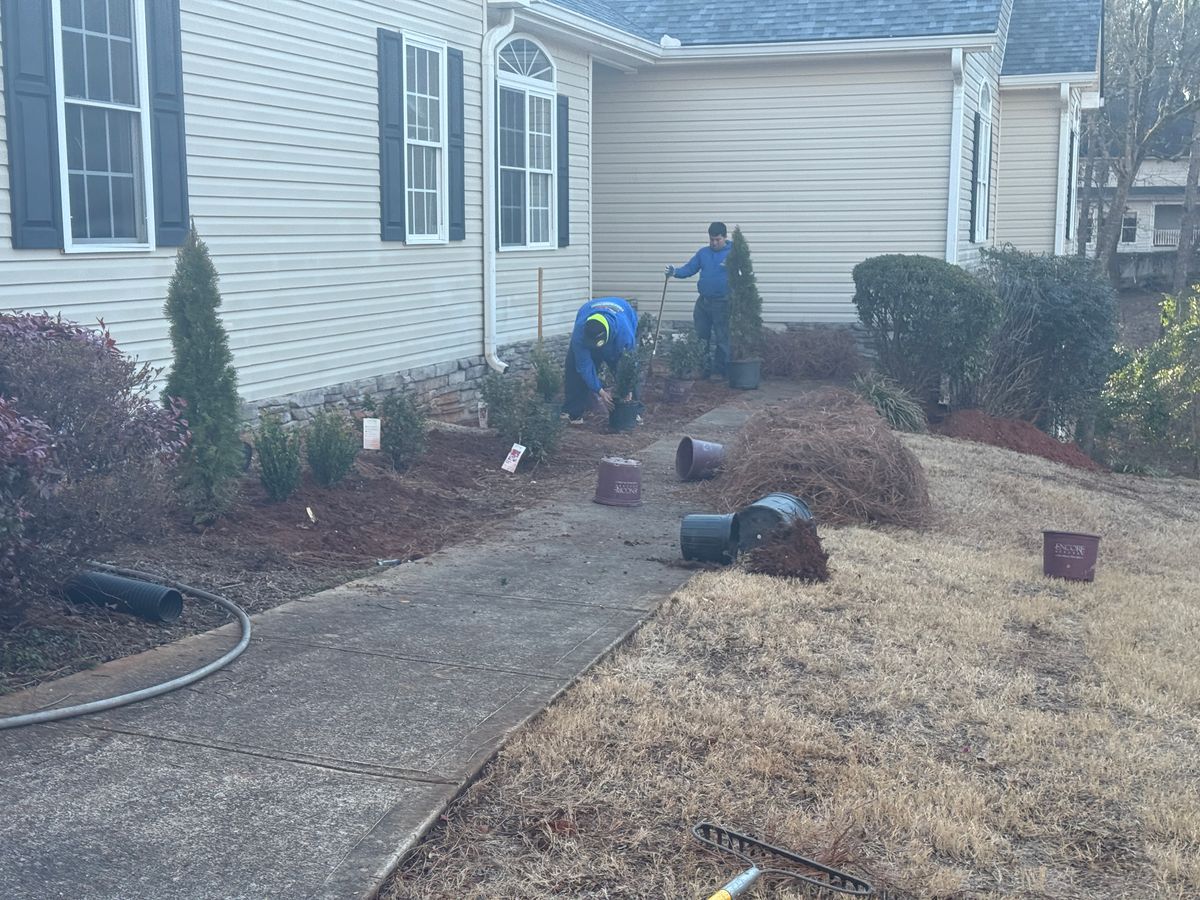 Professional Bush & Tree Trimming Services for GA Lawn Care Pros in Jefferson, GA