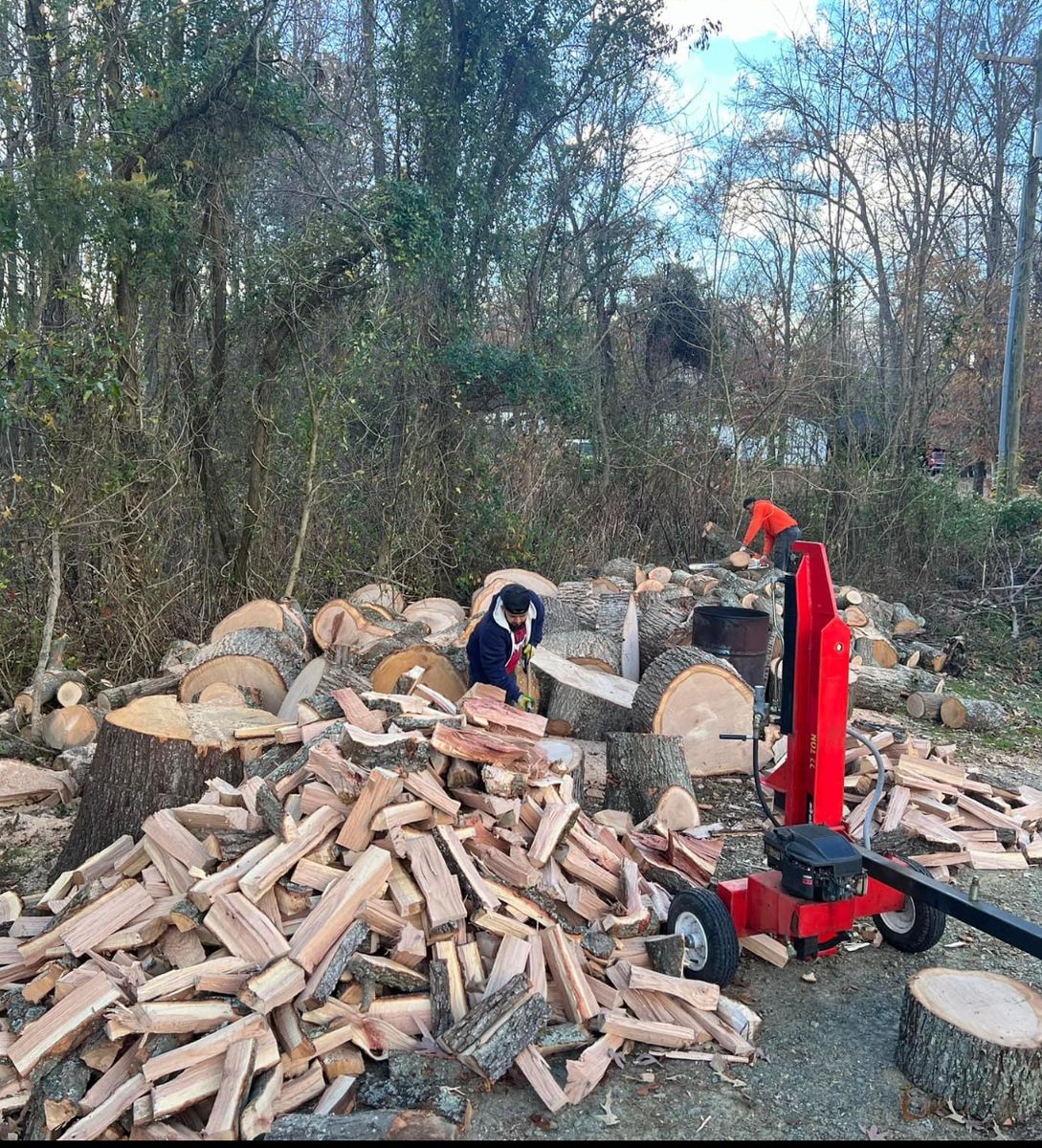 Seasoned firewood for Branch Out Tree Care LLC in Fredericksburg, VA