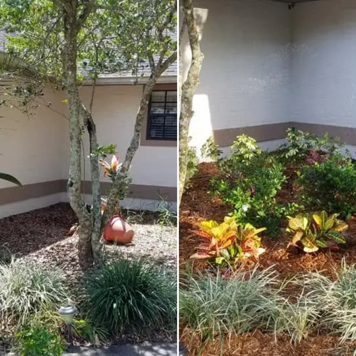 Landscape Design for Nate the Garden Guru in Orlando, FL