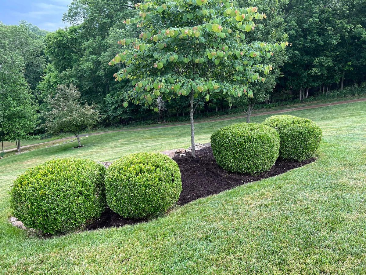 Shrub Trimming for Green Sweep Lawn and Landscape in Eureka, MO