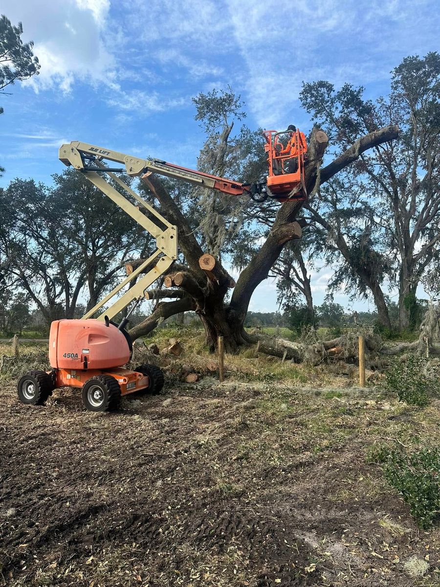 Debris Removal for Orange Cypress Land Services in DeLand, FL